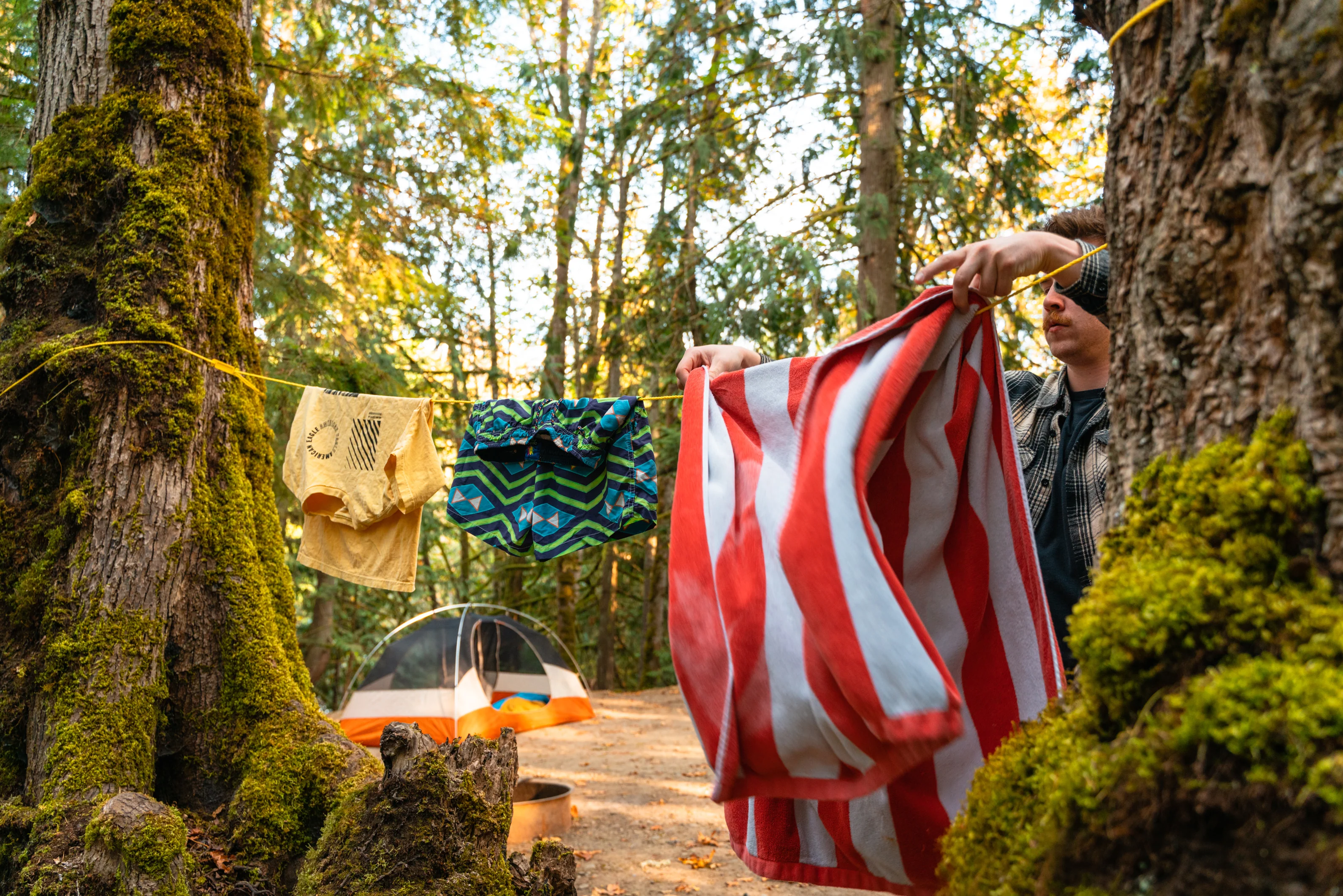 Clothesline - Image 4