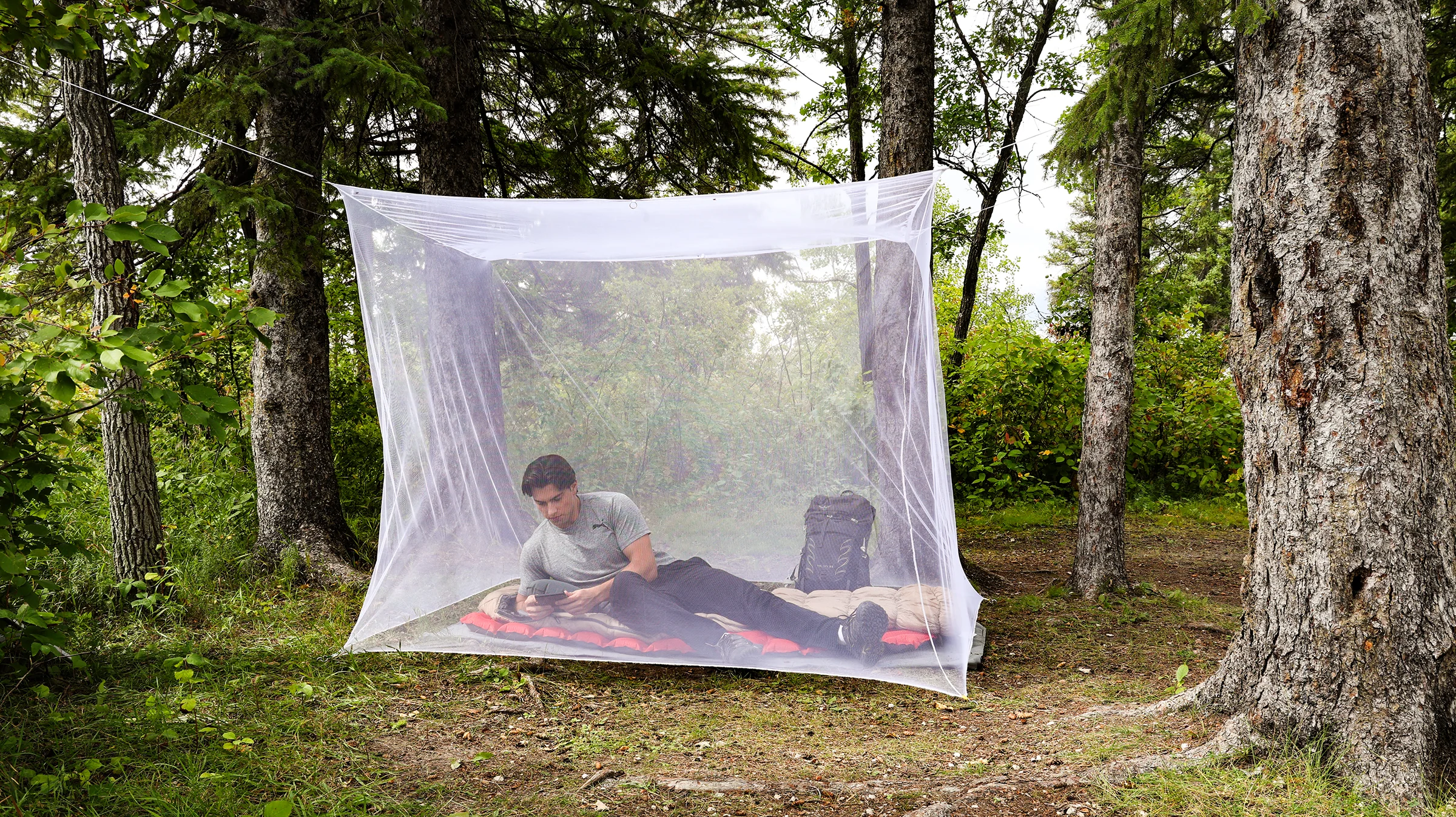Double Mosquito Net - White - Image 4