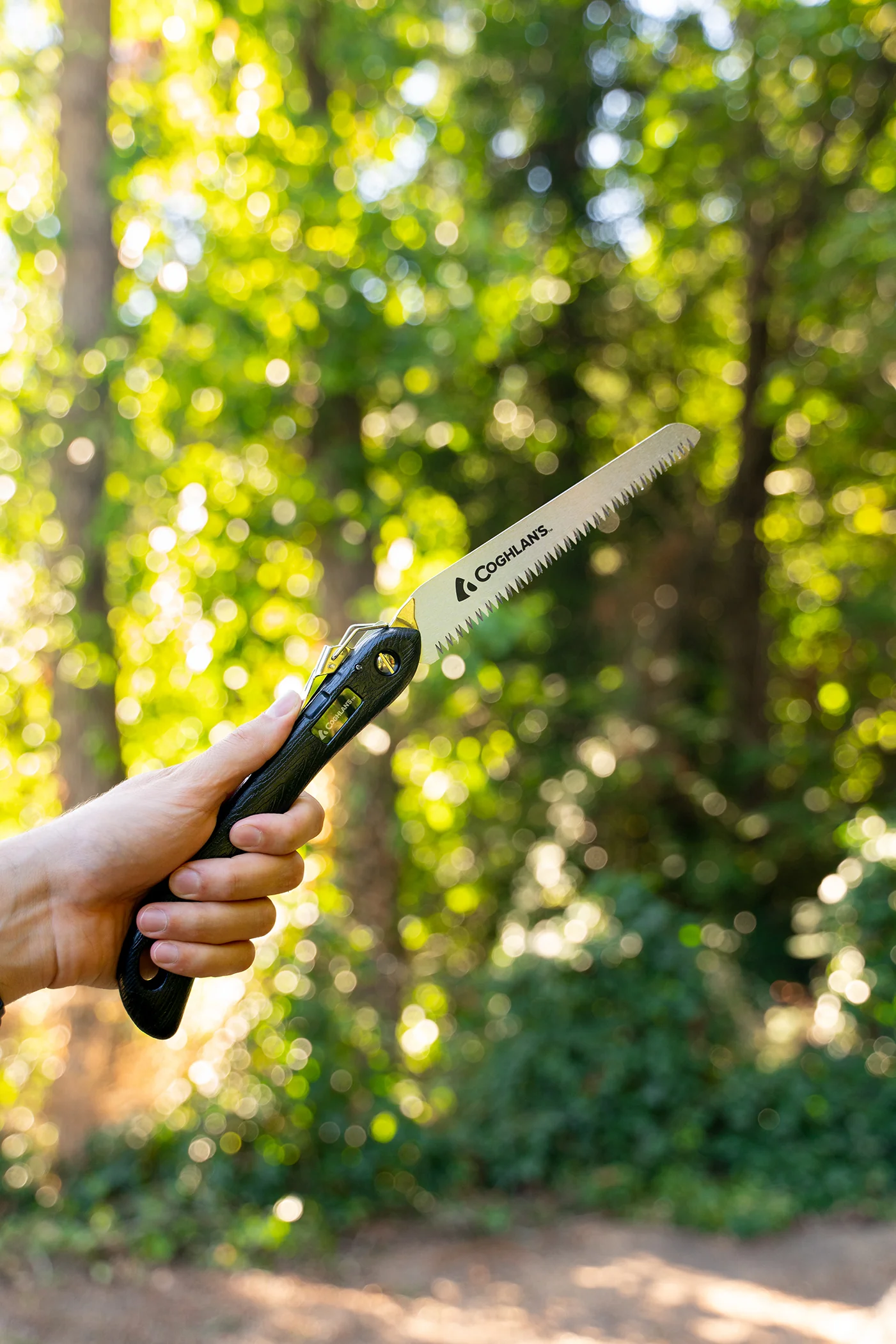 Sierra Saw Blade - Image 3