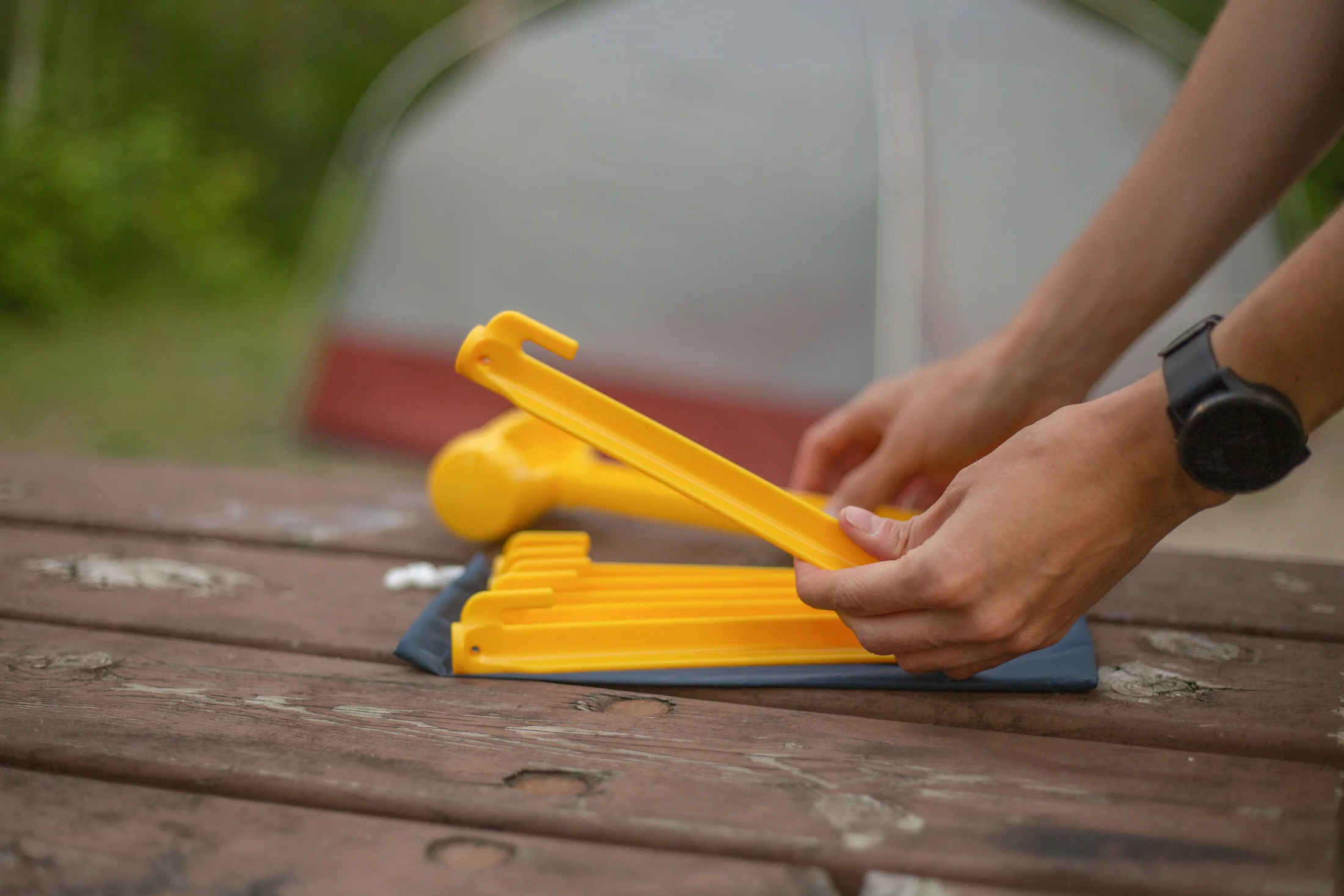Tent Pegs - Image 5