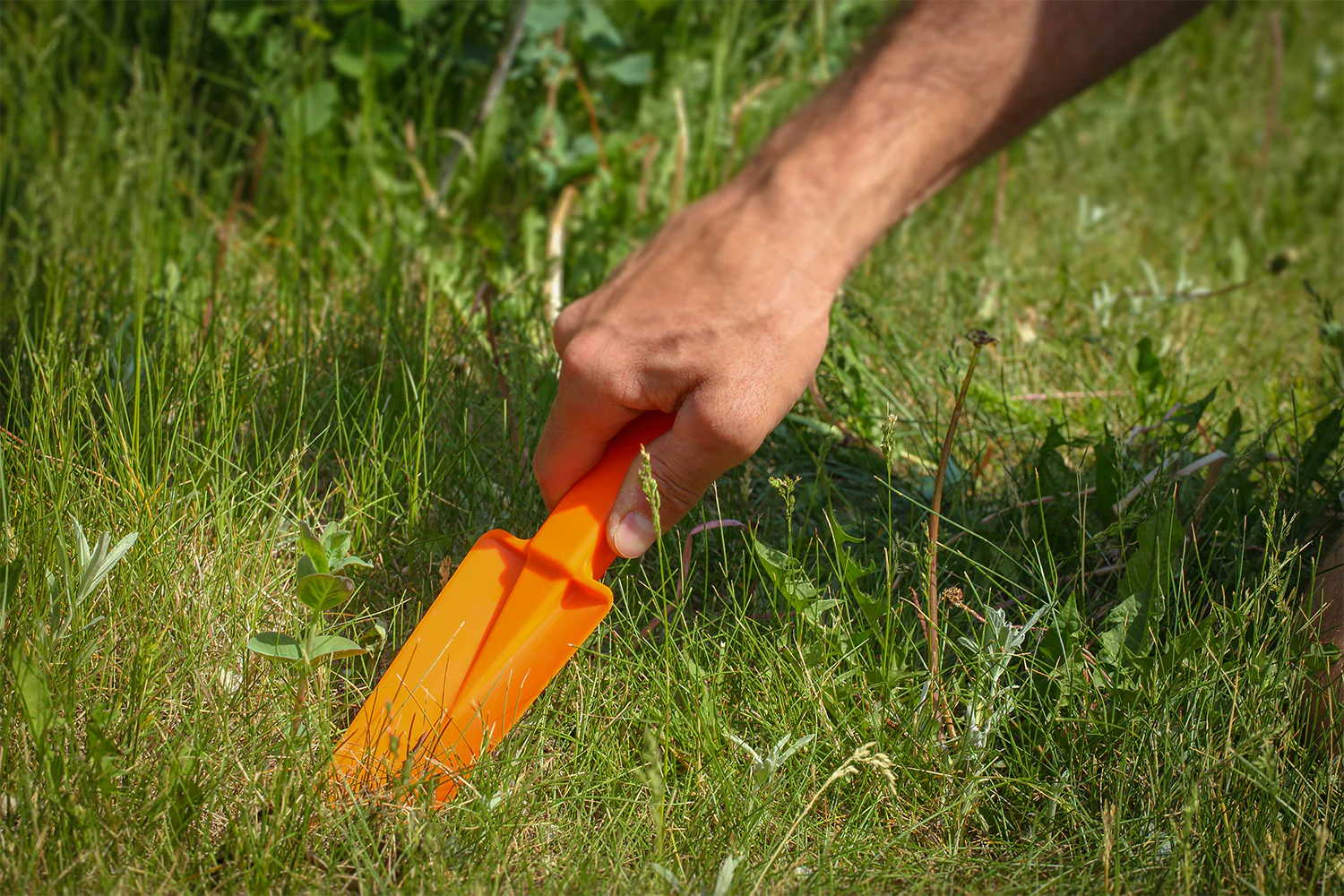 Trowel - Image 3